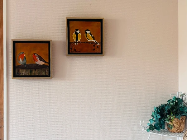 Roodborstjes - Foto 2
