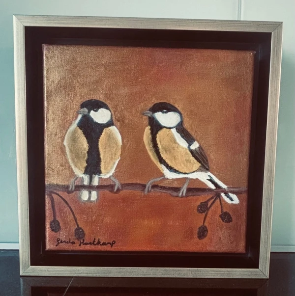 Pimpelmeesjes - Foto 2